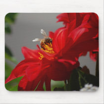 Busy Bee on Red Dahlia Mousepad