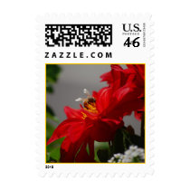 Busy Bee on Red Dahlia Postage postage