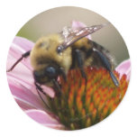 Busy Bee One Sticker