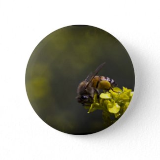 Busy Bee Pinback Button