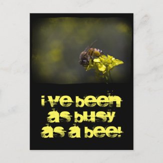 Busy Bee Post Cards