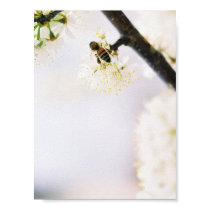 Busy Bee posters by dimple7 Busy Bee posters