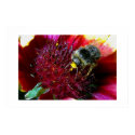 Busy Bee posters