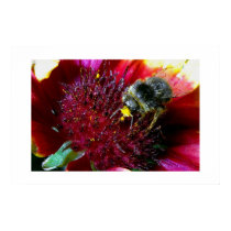 Busy Bee posters by cerebros Busy Bee posters