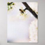 Busy Bee posters