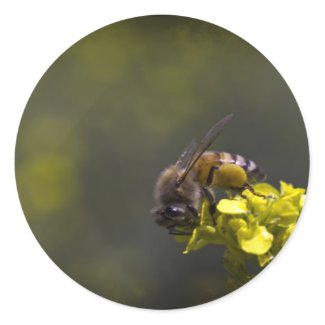 Busy Bee Round Sticker