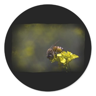 Busy Bee Round Stickers