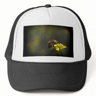 Busy Bee Trucker Hat