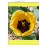 Busy Bee Tulip Card