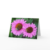 Busy Bees cards by mlikvan Busy Bees cards