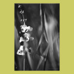 Busy Bees - Fine Art Photo Print photography