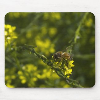 Busy Busy Bee Mouse Pad