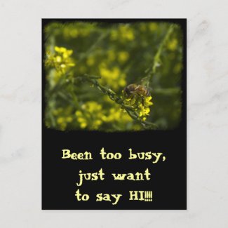 Busy Busy Bee Post Cards