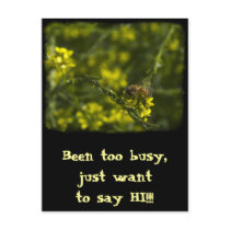 Busy Busy Bee Post Cards