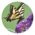 Busy Butterfly Stickers by janoka Busy Butterfly Stickers