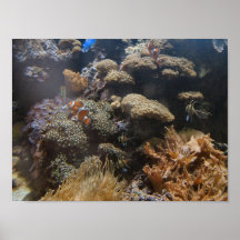 BUSY DAY AT THE REEF - poster/print