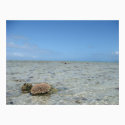 Busy Doing Nothing posters by Little_Fish_Travel Busy Doing Nothing posters