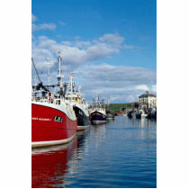 Busy harbor, Eyemoutn, Berwickshire, Scotland Photo Sculpture