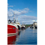 Busy harbor, Eyemoutn, Berwickshire, Scotland Photo Sculpture