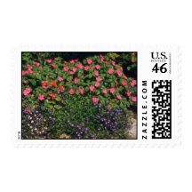 Busy Lizzy (Impatiens Wallerana) flowers Postage Stamps