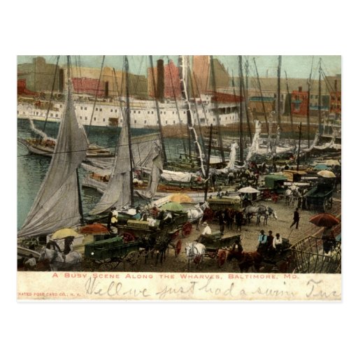 Busy Scene Along the Wharves, Baltimore, MD 1905 Post Card