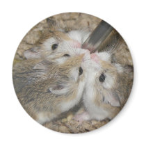 Busy Water Bottle magnets by thundersanimals Busy Water Bottle magnets