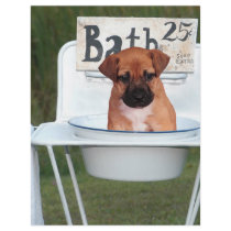 But I don't need a bath Custom Flyer