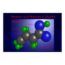 Butanoic Acid Molecule (print)