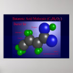 Butanoic Acid Molecule (print)