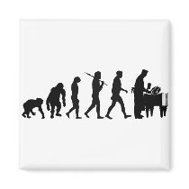 Butchers Butchery T-Bone Steak prime cut magnets