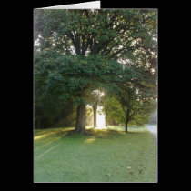 Bute Park, Cardiff