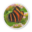 butgif magnets