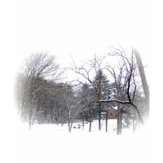 Butler Mansion In The Snow shirt
