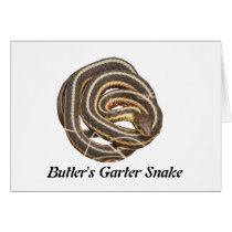 Butler's Garter Snake Greeting Card