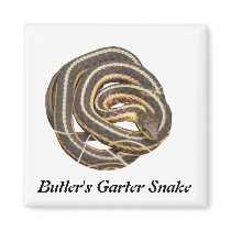 Butler's Garter Snake Refrigerator Magnet