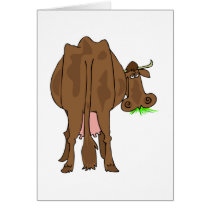 Butt cards