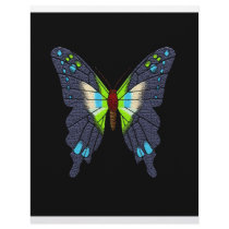 butteflies and moths letterhead by junglewalkcom butteflies and moths letterhead