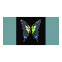 butteflies and moths photo cards by junglewalkcom butteflies and moths photo cards