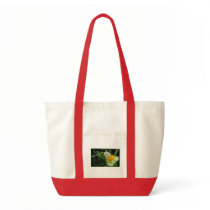 Butter and Eggs Flower with Dewdrop Bag