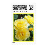 Butter Cream Roses Stamps