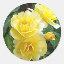 Butter Cream Roses Stickers