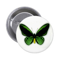 Butter Fly Button buttons