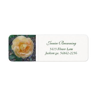 Buttercream Rose Address Label