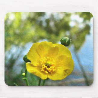 Buttercup at the Pond Mousepads