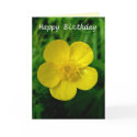 Buttercup - Birthday cards by artberry Buttercup - Birthday cards
