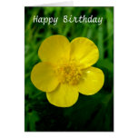 Buttercup - Birthday Card