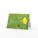 buttercup cards by Libby buttercup cards
