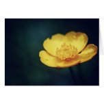 Buttercup Card