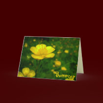 Buttercup Card Personalize Wild Flower Custom Card cards
