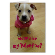 Buttercup Greeting Card